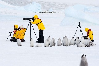 南極攝影工作坊