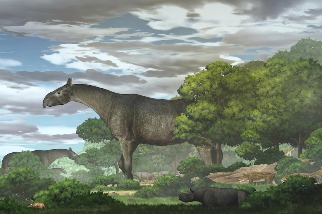 中國發現比長頸鹿更高的「參天巨犀」化石