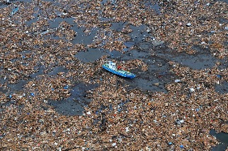 海上漂流可逾六年  外來種隨塑膠垃圾播遷成生態破口
