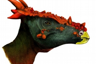 跌破專家眼鏡的頭骨：溫和的素食恐龍可能也會吃葷？