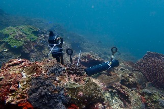 海域生態調查先期報告出爐 環境DNA檢測臺灣海峽魚種230種最多