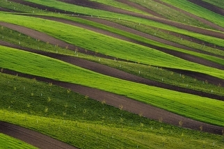 綠色田地：摩拉維亞
