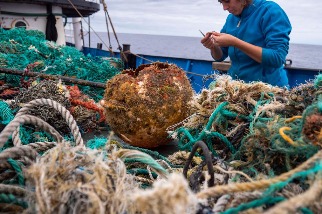 海岸生物隨塑膠垃圾漂流外海 學者憂「新遠洋群落」成生態陷阱