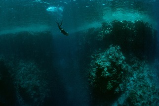 紅海潛水