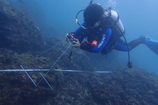2021年珊瑚監測結果 海保署：小琉球等七處海域「失能」