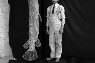 新的組織採樣方式或許能挽救這種3公尺長的「活化石魚」