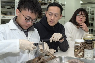 透過千件標本研究蛇眼大小演化關鍵 高中生與科博館團隊登上國際期刊