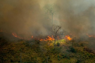 我們將失去雨林？ 研究：亞馬遜承受乾旱與濫伐的能力正在下降