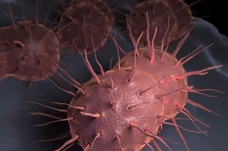 致命的超級細菌：世界衛生組織指出，抗生素逐漸失去效力