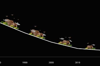 2022地球生命力報告：野生動物族群量48年平均下降69%