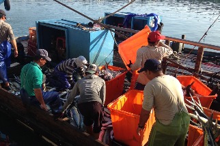 政院通過WTO協定停止非法漁業補貼 環團肯定籲補足海上執法能力