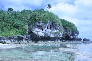 人人可以認養一片海！ 島國紐埃向全球募資1800萬美元保育海洋