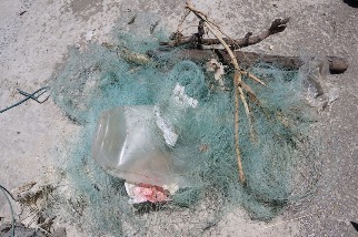 94%捕撈作業會撈到海洋垃圾 刺網船淨海清出逾313公斤海廢