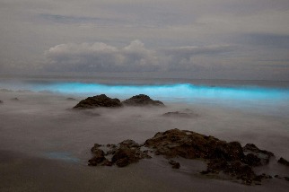 哥斯大黎加的磷光浪潮