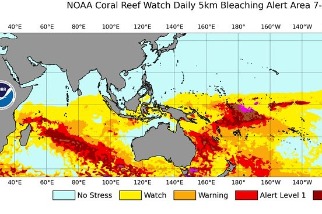 熱到「破表」 NOAA珊瑚白化監測新增三個警戒級別
