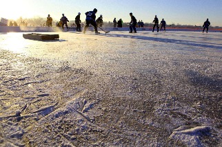 明尼蘇達州的冰池曲棍球