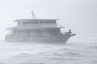 雨