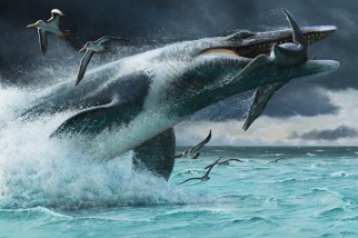 這種白堊紀「海怪」攻擊獵物的速度比大白鯊更快