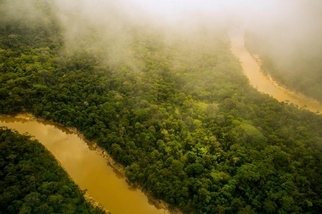 《河的第三岸》：驚人旅程揭開亞馬遜的黑暗面