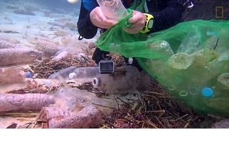 在太平洋發現比墨西哥國土還大的塑膠垃圾帶