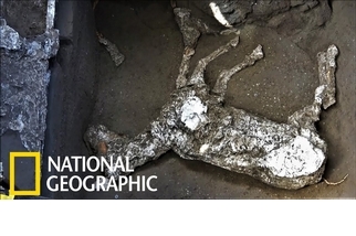 「來不及逃脫……」龐貝古城發現繫有韁繩的馬匹遺骸