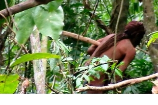 為何公開未曾與外界接觸的亞馬遜部落，或許有助於挽救他們？