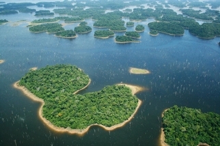 研究稱亞馬遜河的野生動物受到水力發電大壩的威脅