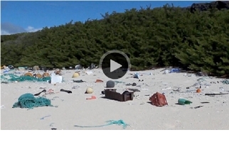 無人島怎麼會有高密度的垃圾量？