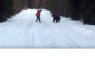 面對棕熊攻擊：瑞典男子的逆襲