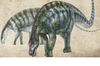 「神奇恐龍」化石，顛覆了世界上最大恐龍的起源故事