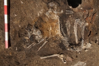古代歌德人的侵略罕見地留下焦黑屍骨