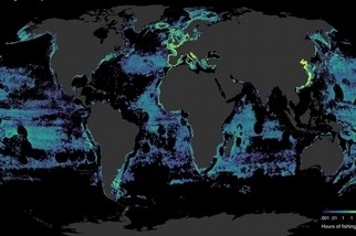 全球商業捕魚面積已達地表的三分之一