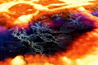 科學家在地底發現藍綠菌，為何和尋找火星生命有關？