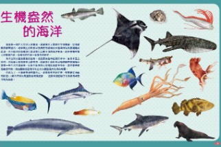 《世界上有哪些魚？ 》 魚類、海洋動物與牠們生活的大海
