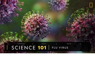 101科學教室：流感病毒