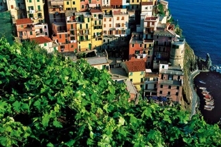 《國家地理終極旅遊：一生必遊的500經典路線（全新增訂版）》義大利五漁村