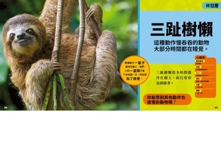 《國家地理小小雨林探險家》三趾樹懶