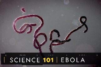 101科學教室：伊波拉病毒