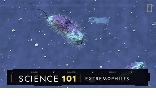101科學教室：嗜極生物