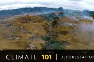  101氣候教室：森林砍伐