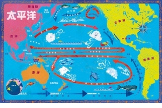 《探索海洋大地圖》太平洋