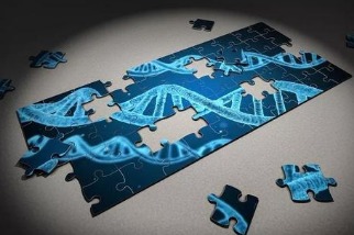 基因檢測會暴露我們的隱私嗎？