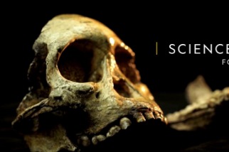 101科學教室：化石