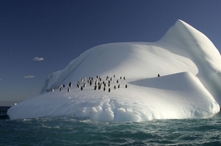 冰山上的企鵝