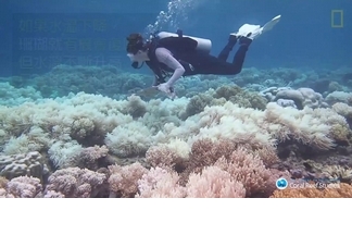 大堡礁消亡速度可能比預期快