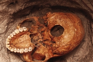 這些1000年前的骨骸，揭露東非最早的海嘯災難