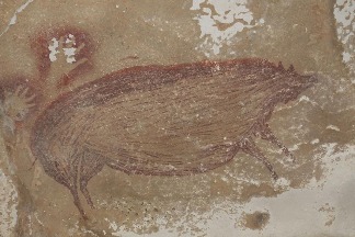 這幅4萬5500年前的豬壁畫是世上最古老的動物形藝術品