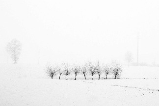風雪之中