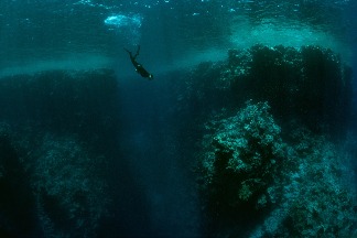 紅海潛水