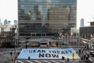 海洋勝利！近20年倡議，聯合國宣布通過《全球海洋公約》！